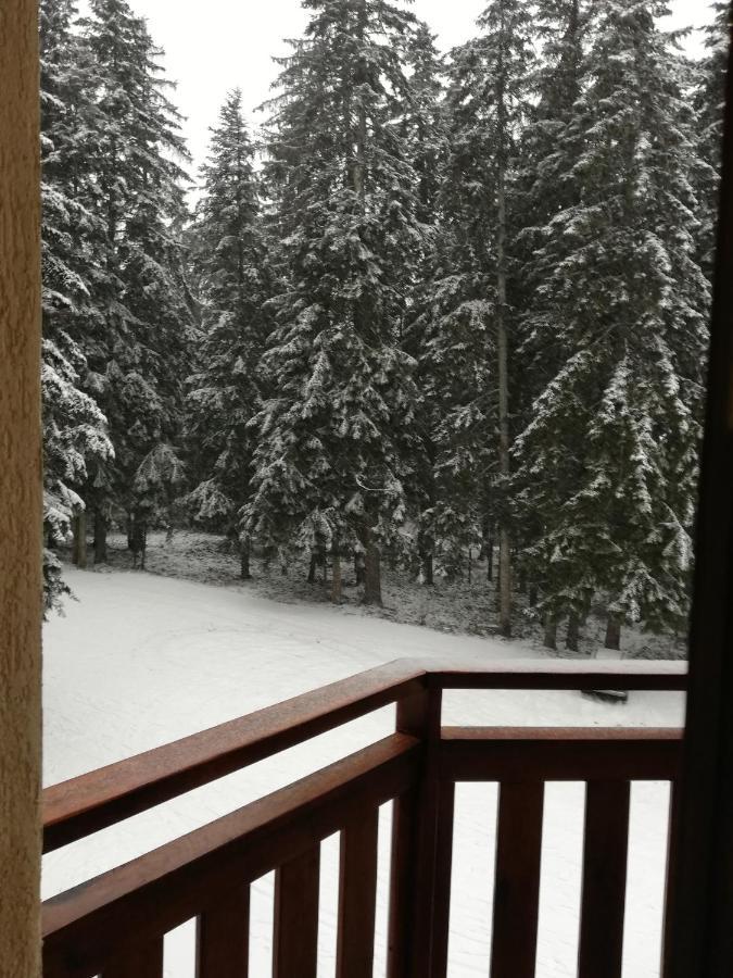 Hq Apartments Villa Park Borovets Exterior foto